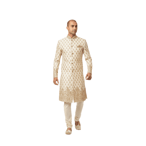 Walking Indian Male PNG — Free Cut-out for Architectural Renders